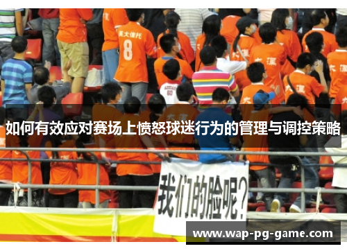 如何有效应对赛场上愤怒球迷行为的管理与调控策略