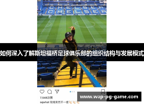 如何深入了解斯坦福桥足球俱乐部的组织结构与发展模式