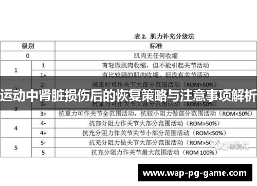 运动中肾脏损伤后的恢复策略与注意事项解析