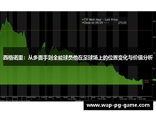 西格诺里：从多面手到全能球员他在足球场上的位置变化与价值分析