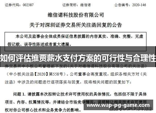 如何评估维贾薪水支付方案的可行性与合理性