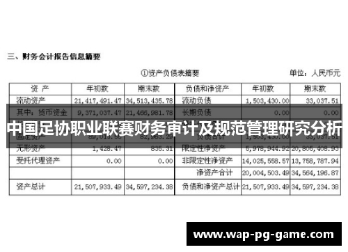 中国足协职业联赛财务审计及规范管理研究分析