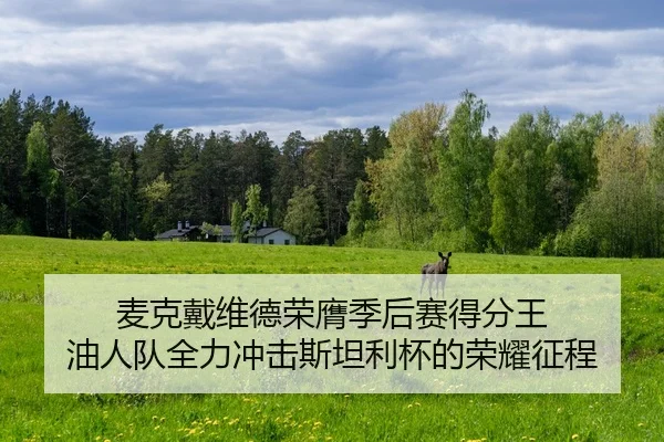 mai-ke-dai-wei-de-rong-ying-ji-hou-sai-de-fen-wang-you-ren-dui-quan-li-chong-ji-si-tan-li-bei-de-rong-yao-zheng-cheng-2-545.jpg