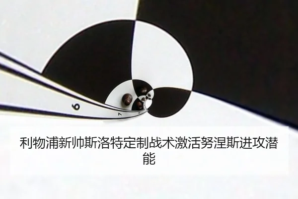 利物浦新帅斯洛特定制战术激活努涅斯进攻潜能