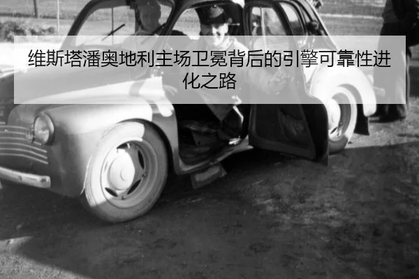 wei-si-ta-pan-ao-di-li-zhu-chang-wei-mian-bei-hou-de-yin-qing-ke-kao-xing-jin-hua-zhi-lu-3-261.jpg