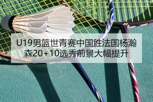U19男篮世青赛中国胜法国杨瀚森20+10选秀前景大幅提升